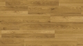 Multicontract Venossa New MV-008