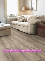 Panel Laminowany QUICK STEP IMPRESSIVE ULTRA IMU 1893