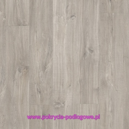 BACP40030 DĄB CANYON SZARY ZE ŚLADAMI CIĘCIA PIŁĄ.JPG