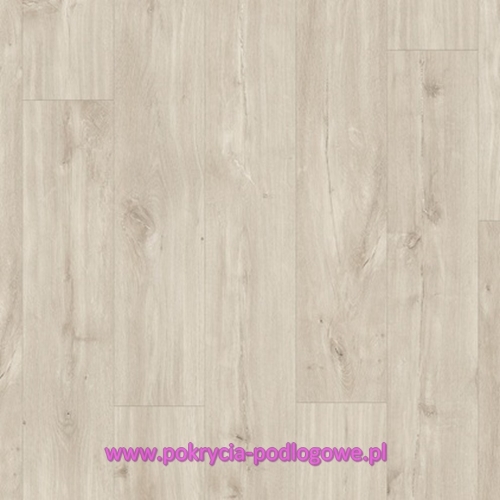 BACP40038 DĄB CANYON BEŻOWY.JPG