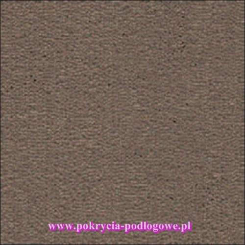 Wykładzina obiektowa Prominent 42