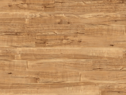 2202 Nut Tree.jpg