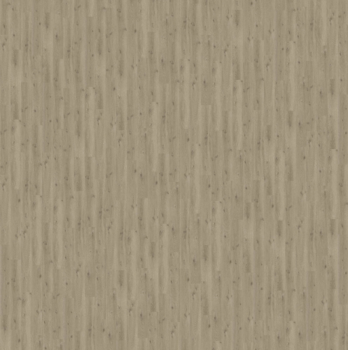 SGSPC20318_3D-texture.jpg