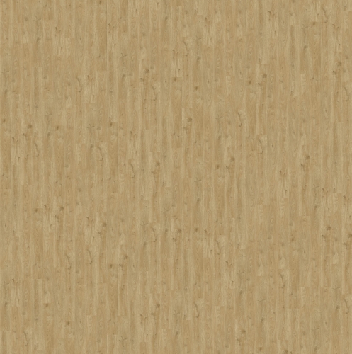 SGSPC20315_3D-texture.jpg
