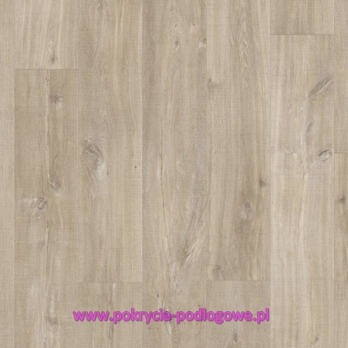 BACP40031 DĄB CANYON JASNOBRĄZOWY ZE ŚLADAMI CIĘCIA PIŁĄ.JPG