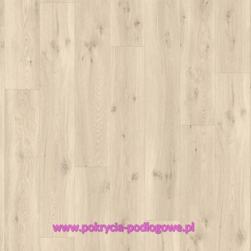 BACP40017 DĄB DRYFUJĄCY JASNY.JPG