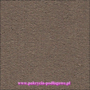 Wykładzina PROMINENT 42