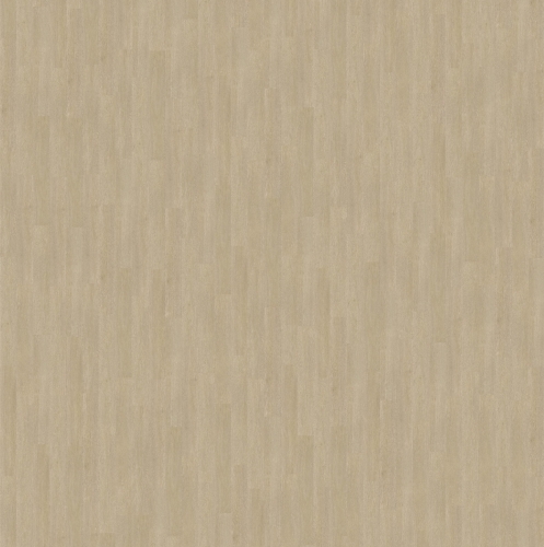 SGSPC20317_3D-texture.jpg