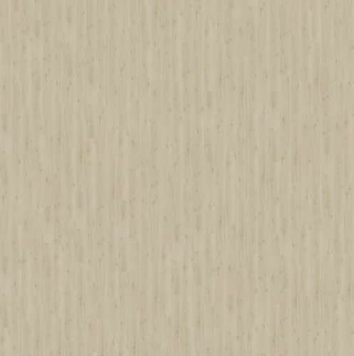 SGSPC20319_3D-texture.jpg