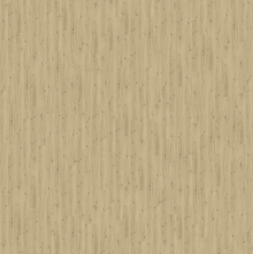 SGSPC20313_3D-texture.jpg