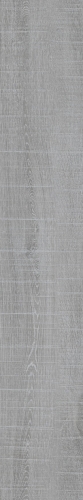 MV-002.jpg