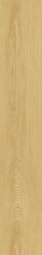 MV-010.jpg