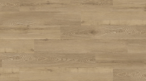 Multicontract Venossa MV-013