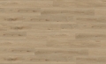 GER-C55-41821707-41821707_1