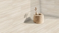 GER-C55-41811729-41811729_2