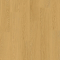 QS-DRAFT-AVMPU40098-AVMPU40098_1