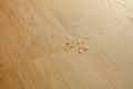 Panel winylowy Quick-Step Blos AVSPU40320 — Dąb coast miodowy - detal struktury producenta 3