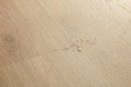 Panel winylowy Quick-Step Blos AVSPU40322 — Dąb coast piaskowy - detal struktury producenta 2