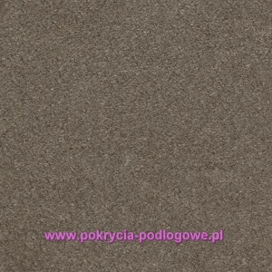 Wykładzina dywanowa AW Seduction 95
