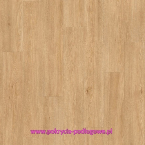 BACP40130 DĄB JEDWABNY CIEPŁY NATURALNY.JPG